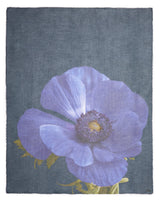 Francesco Printed Scarf