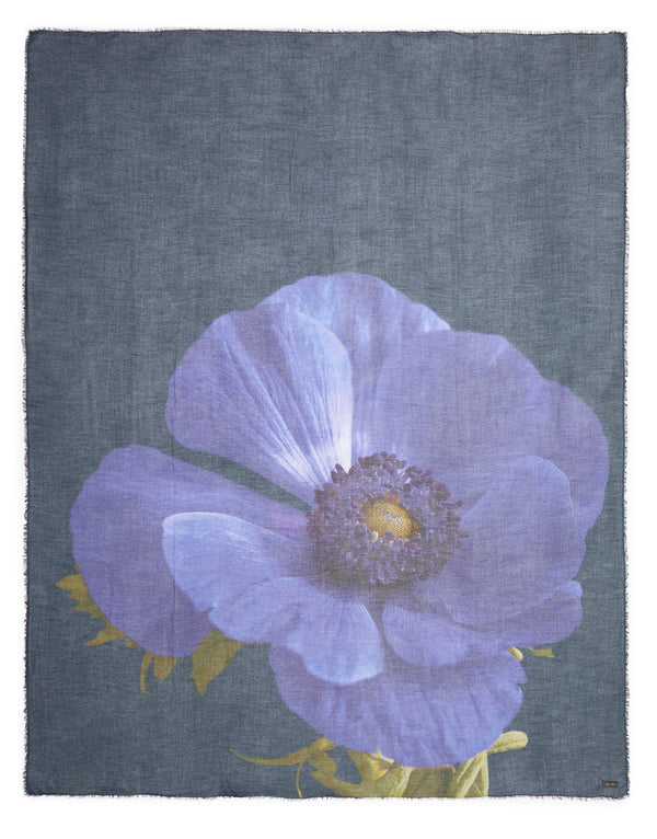 Francesco Printed Scarf